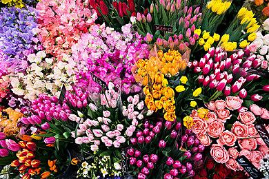 极限滑雪新作《Tricky Madness》正式公开